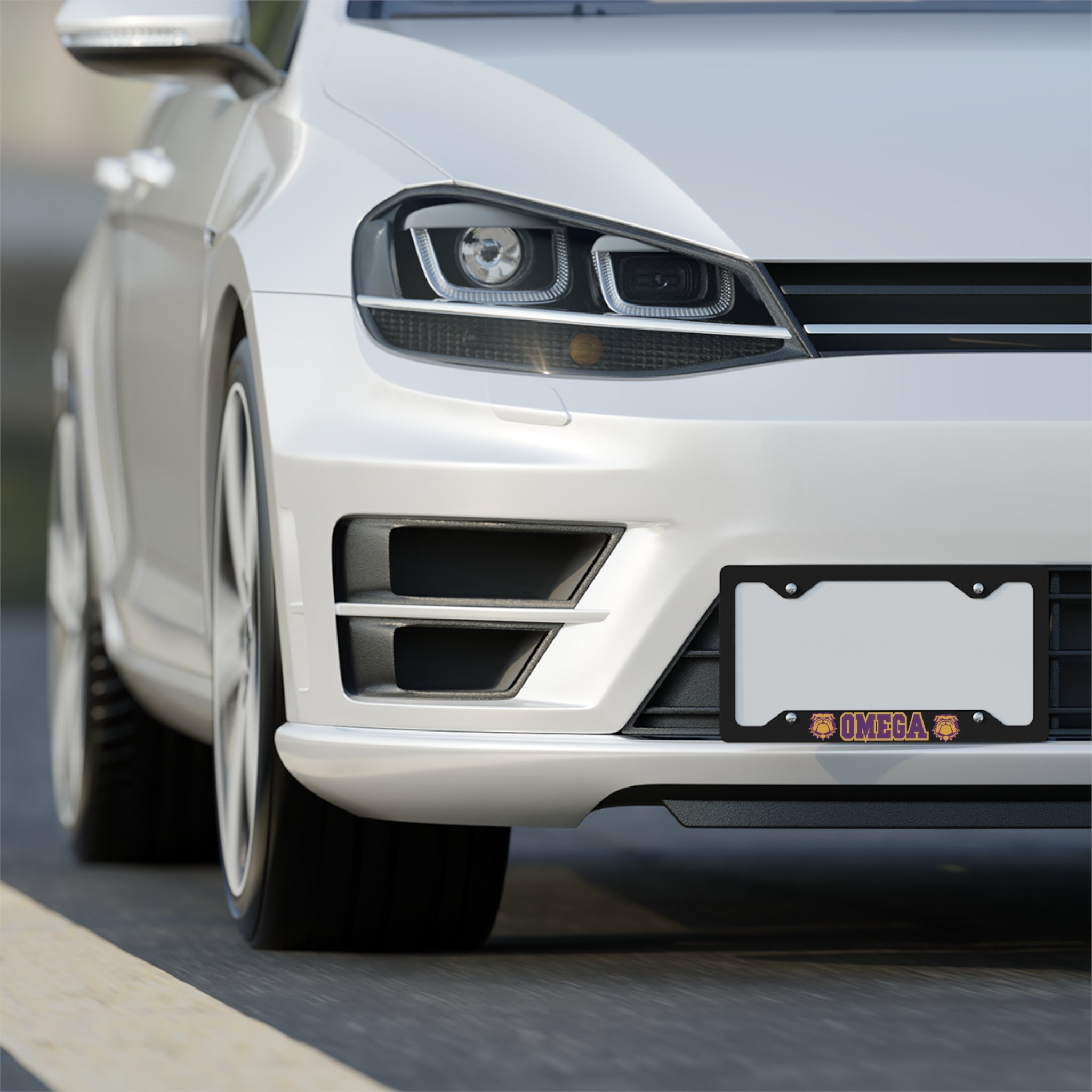 Omega Metal License Plate Frame